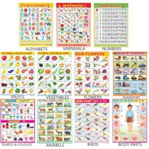 Early Learning Educational Charts set for Kids | 45X60 cm | Set of 11 | Non-Tearable and Waterproof