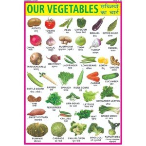 Vegetables Chart for kids | 70x100 cm (Extra Large Size to attract Kids) | Non-Tearable and Waterproof | Perfect For Homeschooling, Kindergarten and Nursery Students Wall Chart