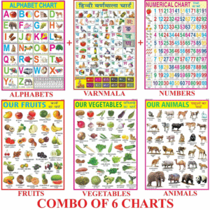 All in One Educational Charts for Kids | English Alphabet, Hindi Varnmala, Numbers, Fruits, Vegetables & Animals | Combo of 6