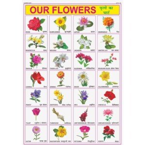 Flower Chart