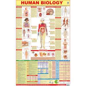 All in one Human Biology Chart